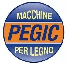 Troncatrice Pegic Mod. Gp 350 Rt Completa Di Banco AspirantePEGIC