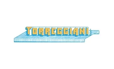 Kit Di 2 Scatole Da 10000 Pz Di Graffe 80/16TORREGGIANI