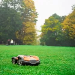 Come scegliere un robot tagliaerba per il giardino: guida all'acquisto