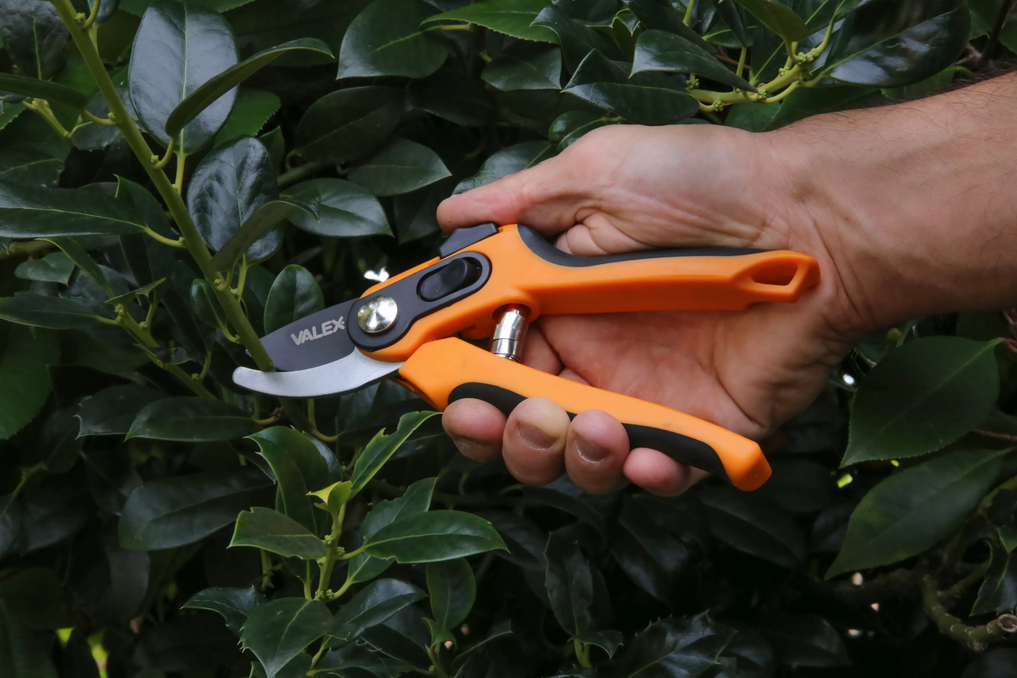 Forbici Valex Da Potatura Doppia Apertura Da 220 Mm