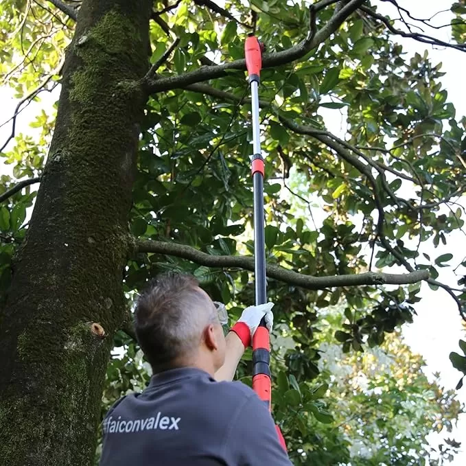 Elettrosega Telescopica Valex Et301