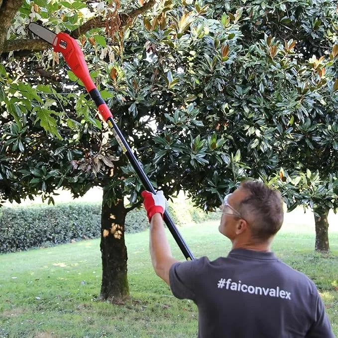 Elettrosega Telescopica Valex Et301