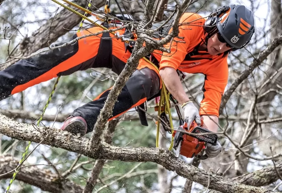 Motosega Husqvarna T525