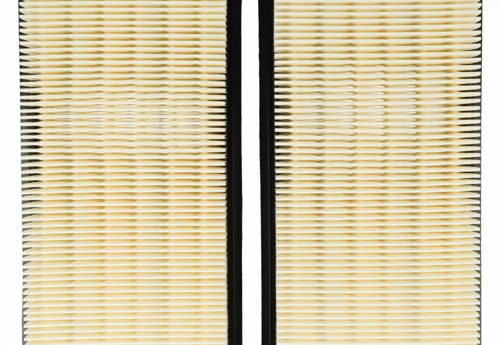 Set di 2 Filtri per Aspiratori Nilfisk 302002842