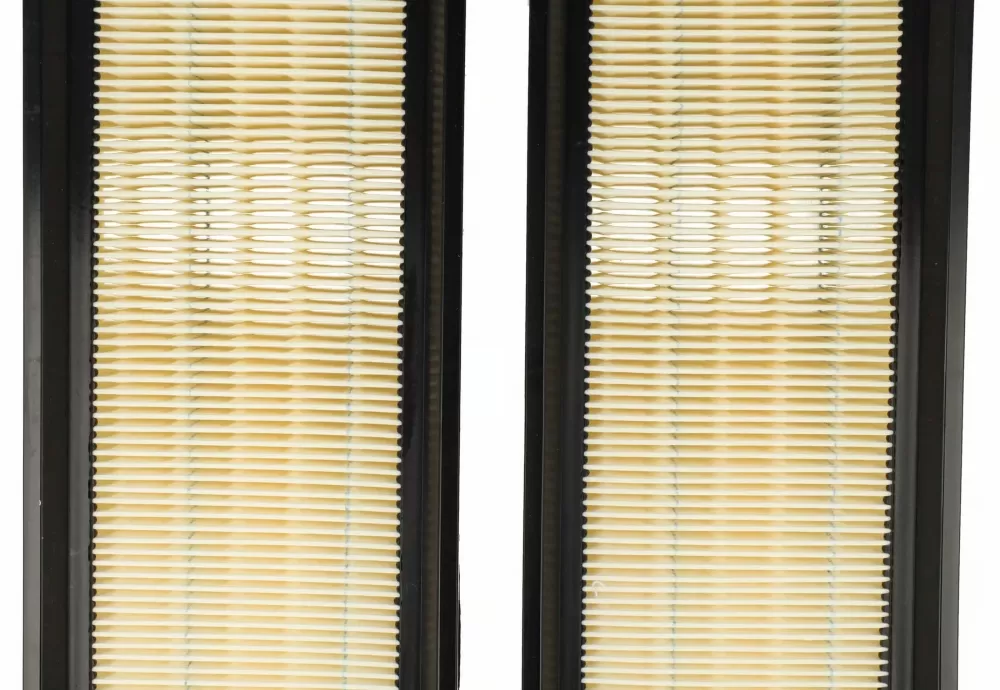 Set di 2 Filtri per Aspiratori Nilfisk 302002842