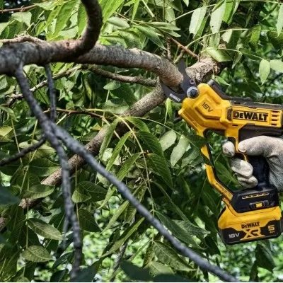 Forbice Da Potatura Elettrica Dewalt Dcmpp568p1 18 V Xr 38 Mm