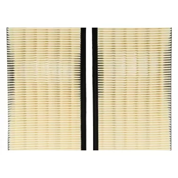 Set di 2 Filtri per Aspiratori Nilfisk 302002842