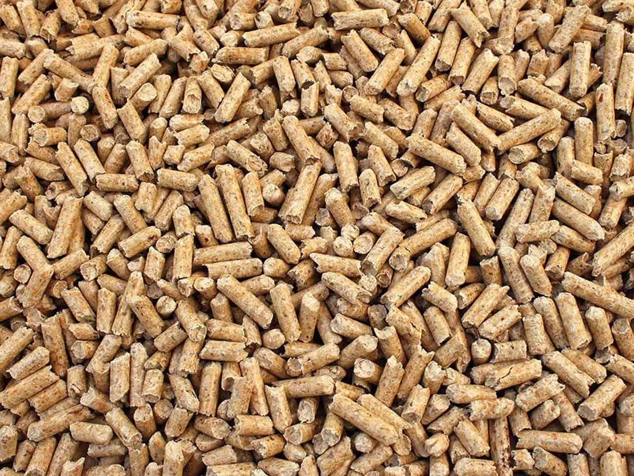 Bancale Di Pellets Da 70 Sacchi Da 15 Kg