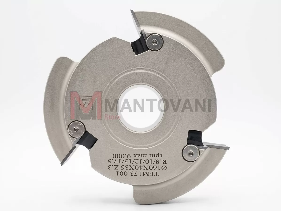 Testa Porta-Coltelli Multiprofilo per Legno D.160 X 40 Z.3 F.35 &ndash; Profilo 1/4 Tondo Concavo/Convesso (R. 8/10/12/15/17.5 mm)
