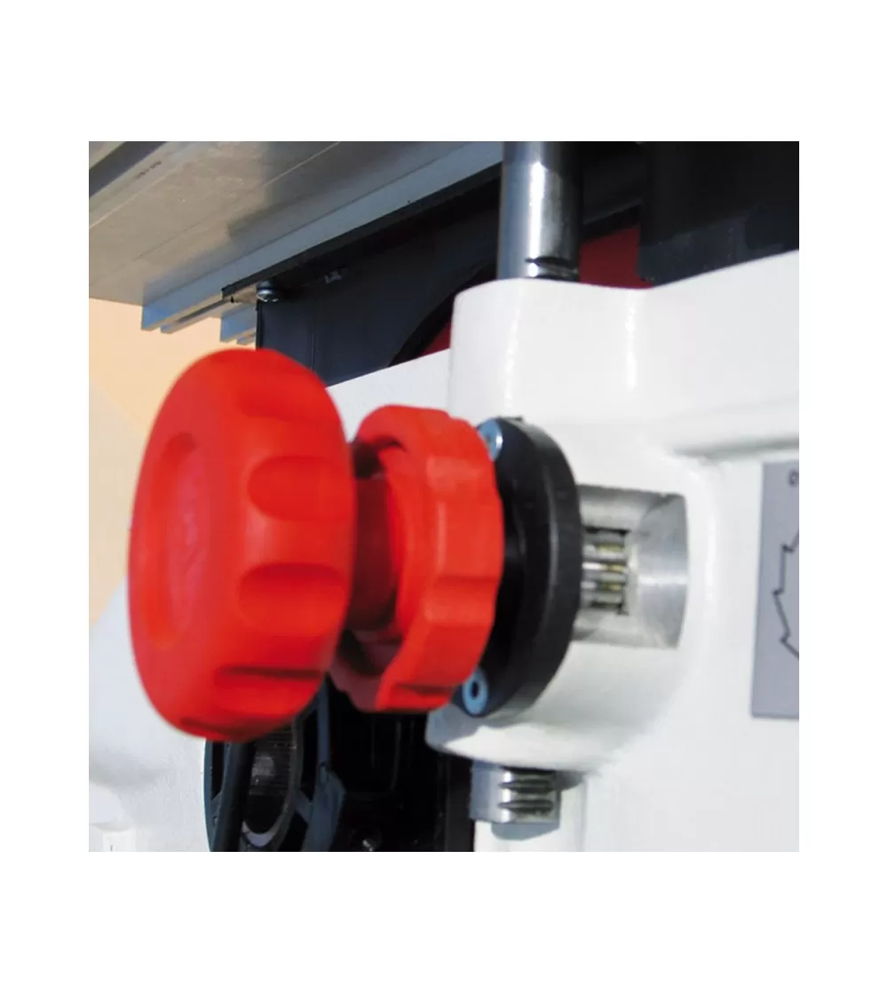 Troncatrice Pegic Mod. R300si